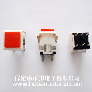 �����_�PWPT-24 �t